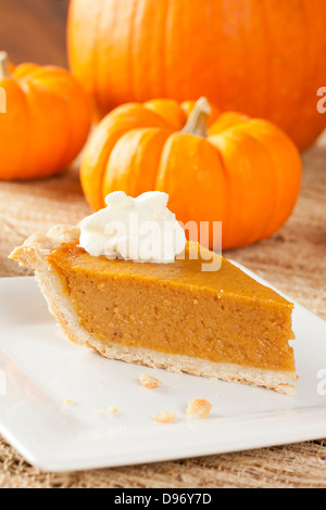 Tarte à la citrouille maison faite pour Thanksgiving Banque D'Images
