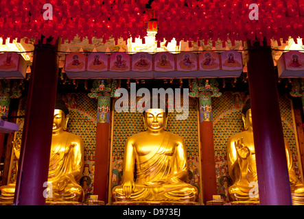 Statues de Bouddha dans le Temple de Jogye-sa, en Corée. Banque D'Images