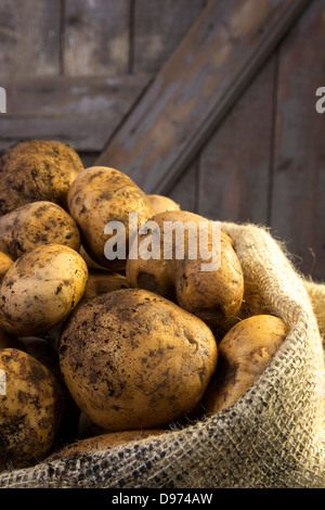 L'Allemagne, les pommes de terre en sac, Close up Banque D'Images