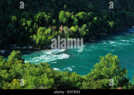 Gorge de la rivière Niagara et des rapides de Niagara Glen Niagara Falls Ontario Canada Banque D'Images