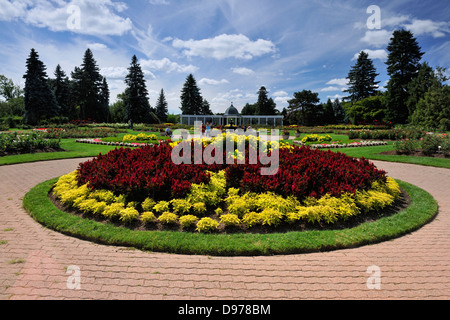 Fleurs dans le Jardin botanique de Niagara- Rose Garden area Niagara Falls Ontario Canada Banque D'Images