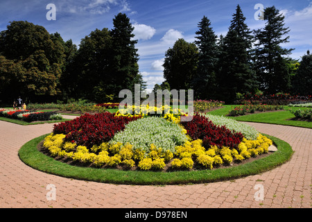 Fleurs dans le Jardin botanique de Niagara- Rose Garden area Niagara Falls Ontario Canada Banque D'Images