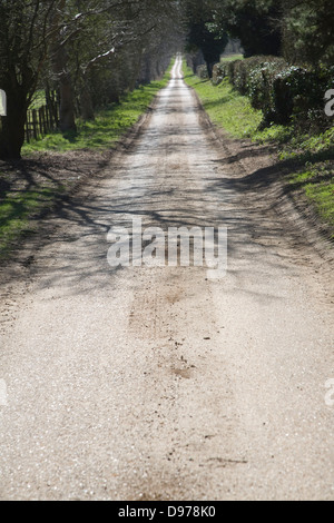 Longue ligne droite bordée d'arbres country road, Sutton, Suffolk, Angleterre Banque D'Images