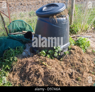 Les plantes en décomposition bac à compost in allotment garden, UK Banque D'Images