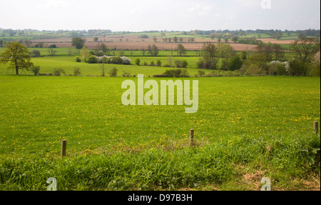 Le printemps sur la rivière Stour Valley et vers la plaine, Essex, Angleterre Wormingford Banque D'Images