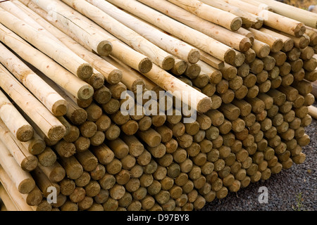 Les poteaux de clôture en bois empilés dans un builder's merchant yard, UK Banque D'Images