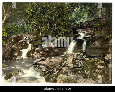 [Glen Lyn, chutes et pont supérieur, Lynton et Lynmouth, Angleterre] (LOC) Banque D'Images