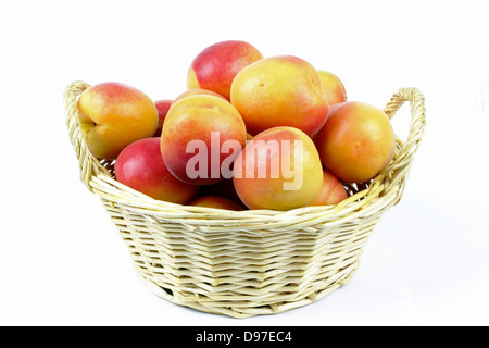 Les abricots dans le panier sur le fond blanc Banque D'Images