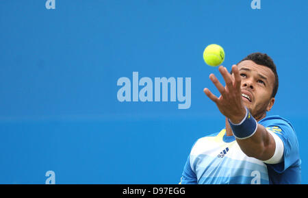 Londres, Royaume-Uni. 13 juin 2013. Yanina en action contre Edouard Roger-Vasselin au cours de la l'Aegon Championships du Queen's Club à West Kensington.Credit : Action Plus Sport/Alamy Live News Banque D'Images