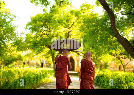 Deux petits moines bouddhistes la marche à l'extérieur à l'ombre de l'arbre vert, vue arrière, à l'extérieur de monastère, le Myanmar. Banque D'Images