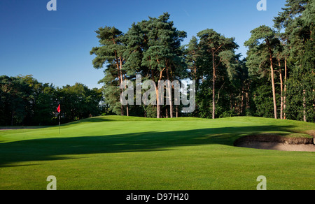 Golf, Camberley Heath, Camberley, Surrey, UK Banque D'Images