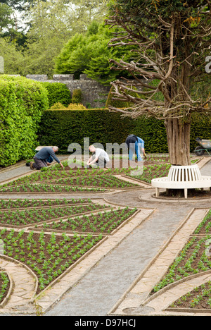 Jardiniers travaillant sur des jardins, St Fagans national history museum/amgueddfa werin cymru, Cardiff, Pays de Galles. Banque D'Images