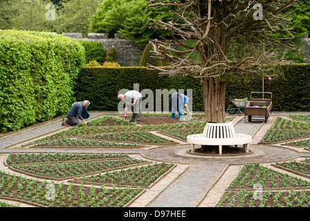 Jardiniers travaillant sur des jardins, St Fagans national history museum/amgueddfa werin cymru, Cardiff, Pays de Galles. Banque D'Images