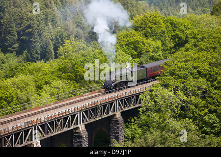 Le Royal Duchy Plus de vapeur Viaduc St Pinnock à Cornwall Banque D'Images