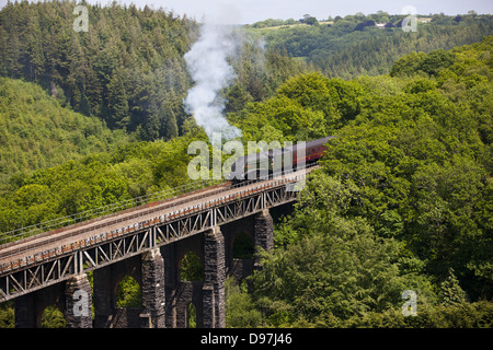 Le Royal Duchy Plus de vapeur Viaduc St Pinnock à Cornwall Banque D'Images