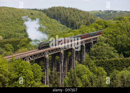 Le Royal Duchy Plus de vapeur Viaduc St Pinnock à Cornwall Banque D'Images