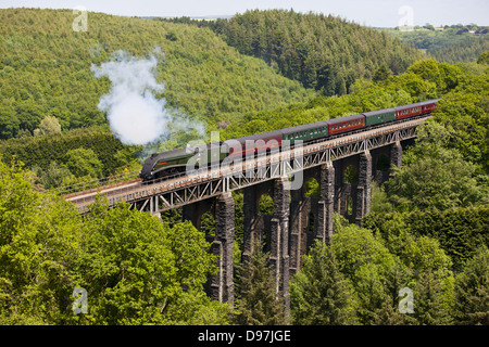 Le Royal Duchy Plus de vapeur Viaduc St Pinnock à Cornwall Banque D'Images