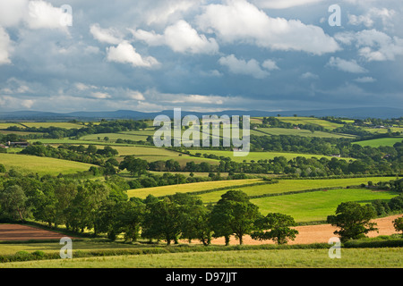 Terres agricoles vallonnées en été, Morchard évêque, Devon, Angleterre. En été (juin) 2012. Banque D'Images