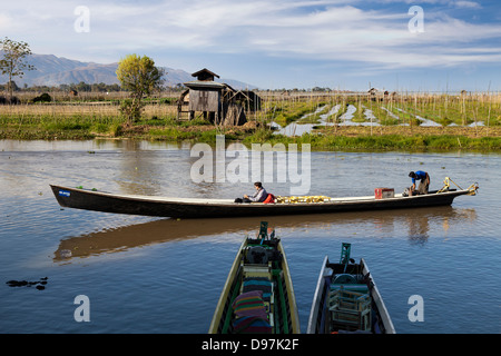 Vue du lac Inle de Nga Phe Kyaung monastère jumping cat, le Myanmar 9 Banque D'Images