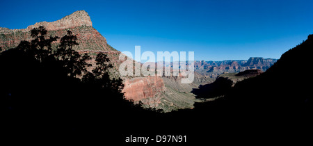 Parties du Parc National du Grand Canyon, à Horseshoe Mesa, au nord de Flagstaff, Arizona, USA. Banque D'Images
