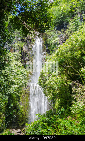 Cascade de Maui avec une végétation tropicale Banque D'Images