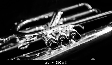 Trois soupapes mellophone en noir et blanc Banque D'Images