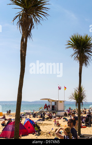 Station de sauvetage de la RNLI sur la plage de Bournemouth avec palmiers sur une chaude journée ensoleillée avec ciel bleu Banque D'Images