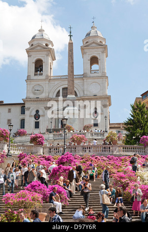 Pots d'azalées en fleurs, les Marches Espagnoles, escalier de la Trinita dei Monti, Piazza di Spagna, Rome, Italie Banque D'Images