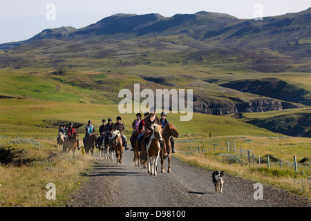 L'équitation à travers les terres agricoles de Hrunamannahreppur dans le sud de l'Islande Banque D'Images