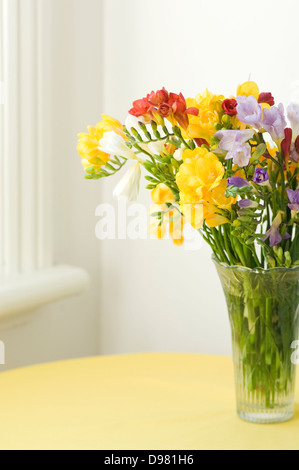 Portrait de jaune, violet, rose, rouge et blanc Freesia dans un vase de verre par une fenêtre sur une nappe jaune. Banque D'Images