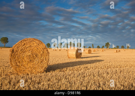 Bottes de foin à la première lumière en face de Cromer / Winterton d'éoliennes à distance Banque D'Images