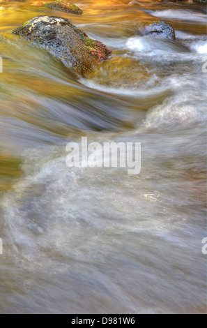 Lumière du soir d'or orne le Didsworthy rapides ci-dessous sur la rivière Avon (ou Aune), dans le sud du Parc National de Dartmoor. Banque D'Images