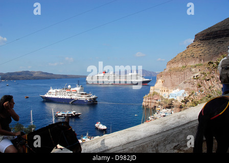 Les mules sur le chemin de la mer à la falaise ville de Fira sur l'île de Santorin dans la mer Égée, Grèce Banque D'Images