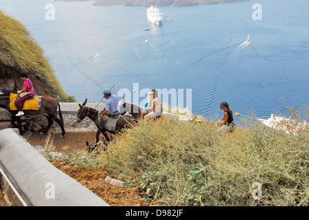 Les mules sur le chemin de la mer à la falaise ville de Fira sur l'île de Santorin dans la mer Égée, Grèce Banque D'Images