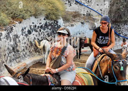 Les mules sur le chemin de la mer à la falaise ville de Fira sur l'île de Santorin dans la mer Égée, Grèce Banque D'Images