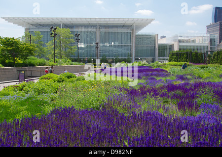 Lurie Jardins, Parc du millénaire avec l'aile moderne de l'Art Institute en arrière-plan Banque D'Images