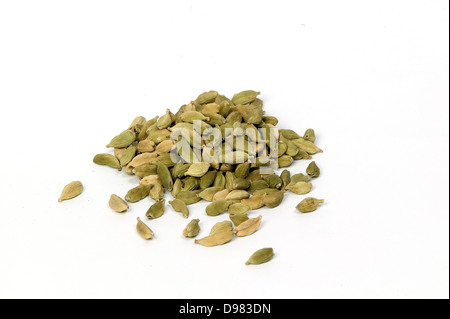 Une pile de cardamomes vertes sur un fond blanc. Banque D'Images