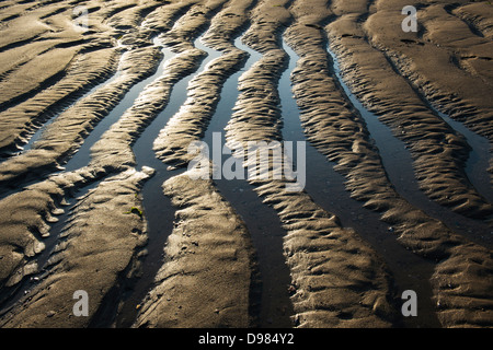 Rippled sand et de l'eau de mer sur une plage au crépuscule. Devon, Angleterre Banque D'Images