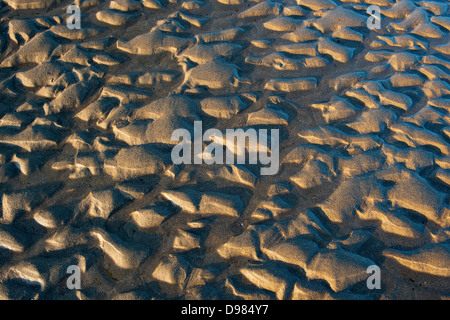 Rippled sand et de l'eau de mer sur une plage au crépuscule. Devon, Angleterre Banque D'Images