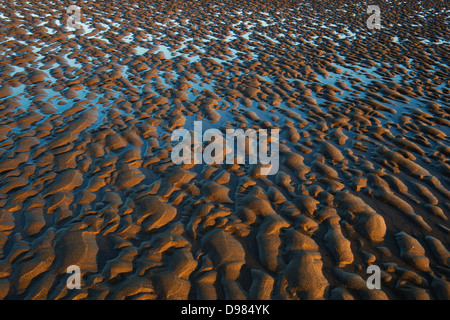 Rippled sand et de l'eau de mer sur une plage au crépuscule. Devon, Angleterre Banque D'Images