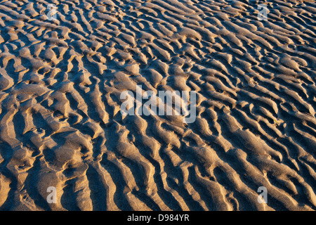 Rippled sand et de l'eau de mer sur une plage au crépuscule. Devon, Angleterre Banque D'Images