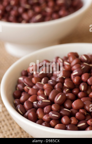 Ou azuki Haricots Adzuki Banque D'Images