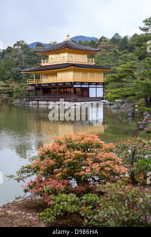 Avis de Kinkaku-ji (Pavillon d'Or) avec bassin inférieur et le jardin en été à Kyoto, Japon, 2012 la verticale Banque D'Images