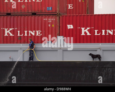 Marin sur une barge à conteneurs nettoyage du pont avec son chien à le regarder travailler. Port de Rotterdam, Pays-Bas Banque D'Images