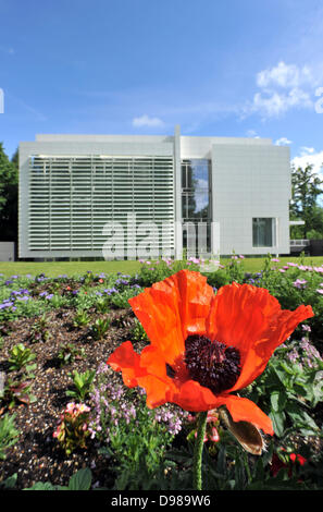 Une parcelle de jardin en face de la musée Frieder Burda est conçu en référence à la peinture 'Grand Coquelicot (rouge, rouge, rouge) à partir de 1942 par Emil Nolde à Baden-Baden, Allemagne, 14 juin 2013. Le jardin est une caractéristique de l'exposition Emil Nolde. La gloire de couleurs', qui présente 58 peintures à l'huile et aquarelle 22 peintures de l'artiste entre 15 Juin et 13 octobre 2013. Photo : Uli Deck (ATTENTION : Pour un usage éditorial uniquement dans le cadre de rapports sur l'exposition) Banque D'Images