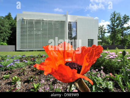 Une parcelle de jardin en face de la musée Frieder Burda est conçu en référence à la peinture 'Grand Coquelicot (rouge, rouge, rouge) à partir de 1942 par Emil Nolde à Baden-Baden, Allemagne, 14 juin 2013. Le jardin est une caractéristique de l'exposition Emil Nolde. La gloire de couleurs', qui présente 58 peintures à l'huile et aquarelle 22 peintures de l'artiste entre 15 Juin et 13 octobre 2013. Photo : Uli Deck (ATTENTION : Pour un usage éditorial uniquement dans le cadre de rapports sur l'exposition) Banque D'Images