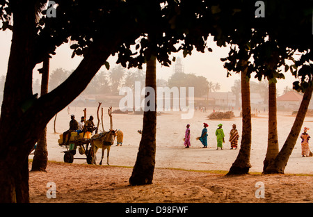 Nettoyage des femmes du village de Dionewar situé sur une île déserte dans l'embouchure du fleuve Saloum, Sénégal Banque D'Images