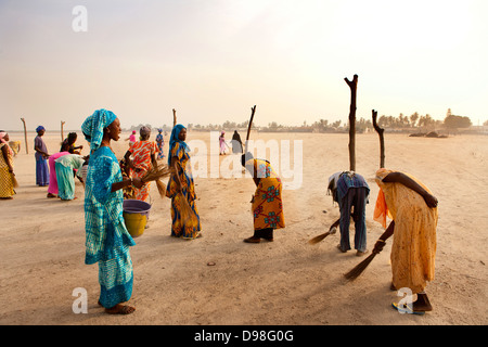 Nettoyage des femmes du village de Dionewar situé sur une île déserte dans l'embouchure du fleuve Saloum, au Sénégal. Banque D'Images