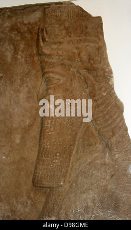 Tête de taureau ailé. L'assyrien, environ 728 BC. De Nimrud, Palais Central. Ce fragment d'un taureau ailé à tête humaine, de Tiglath-piléser III's Palace, est sculptée en bas relief comme un mur-écran. Il y a un contraste marqué avec les chiffres colossaux, en très haut relief, à la fois de périodes antérieures et postérieures. Banque D'Images