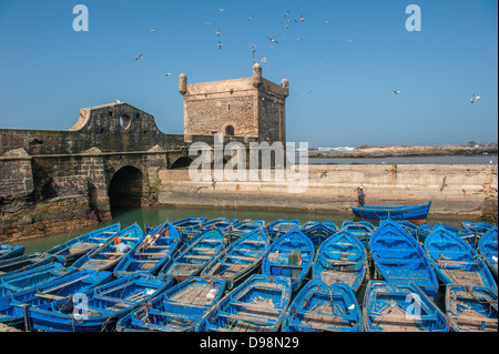 Bateaux de pêcheurs dans le port d'Essaouira, Maroc Banque D'Images